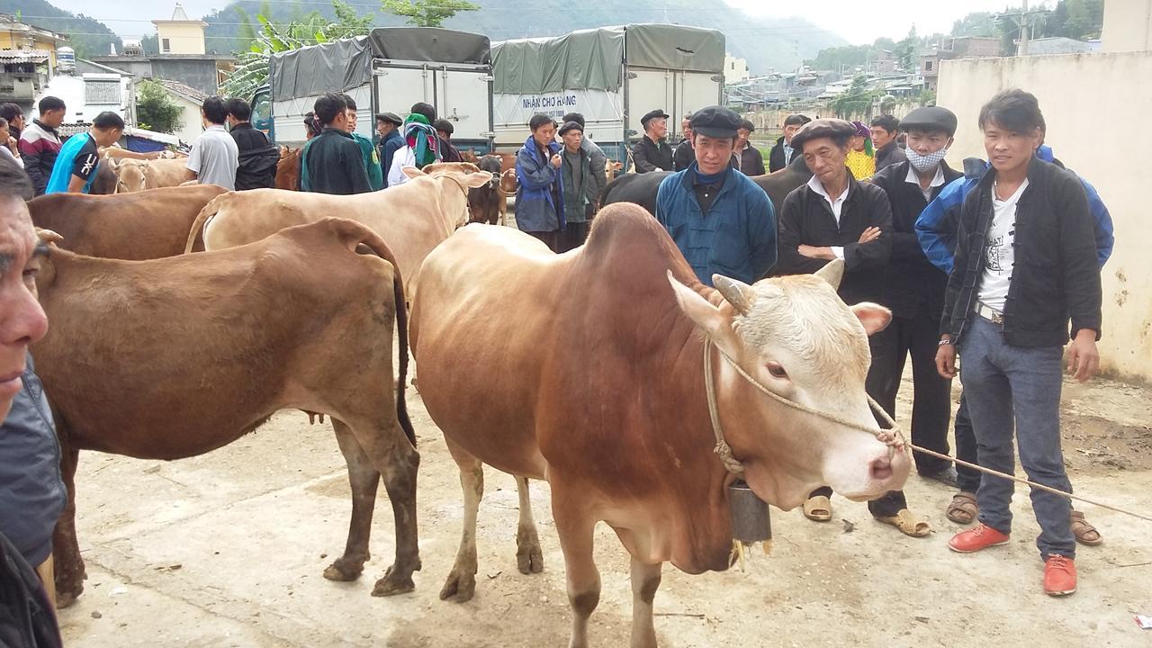 Binh Minh छात्रावास Dong Van (Ha Giang)